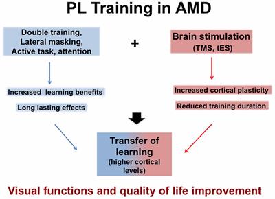 Rehabilitation Approaches in Macular Degeneration Patients